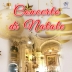 CONCERTO DI NATALE SWINGIS' CHRISTMAS - MUSICA LIVE – MUSICA DI NATALE PER TEATRI PIAZZE CHIESE - EVENTI PRIVATI – EVENTI AZIENDALI 2