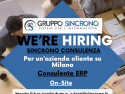 Consulente ERP