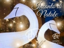 INCANTO DI NATALE ANIMAZIONE ITINERANTE NATALE – PARATA DI TRAMPOLIERI ABITI LUMINOSI – EVENTI AZIENDALI - EVENTI PRIVATI -EVENTI PUBBLICI