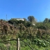 Monte Sant' Angelo Interessante appezzamento terreno a vigneto