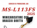 MINI PALA GOMMATA CON BRACCIO DRITTO MS-L113FS JSB - IT