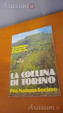 La collina di Torino